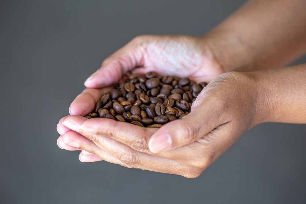 The Different Types of Coffee Bean varieties