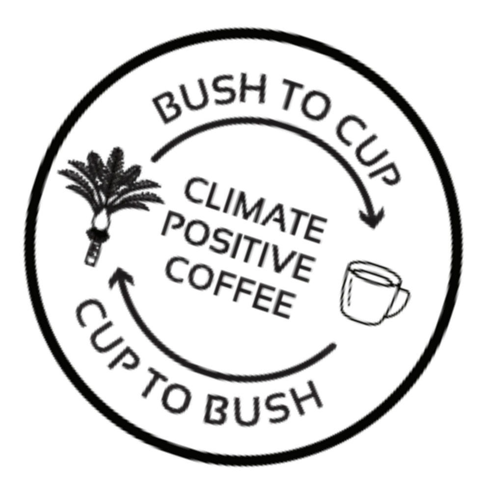 Carbon footprint of your cup of coffee- decarbonising coffee