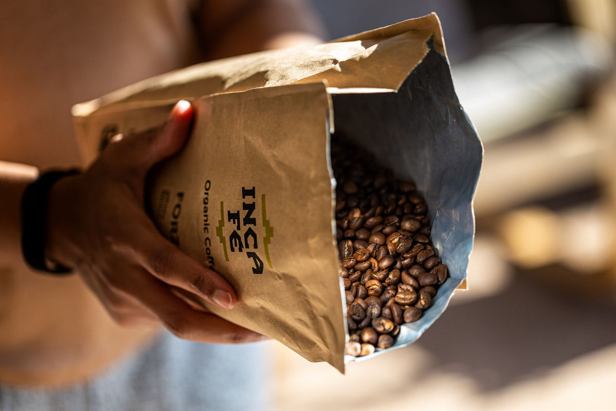 Roasted Organic Coffee collection image