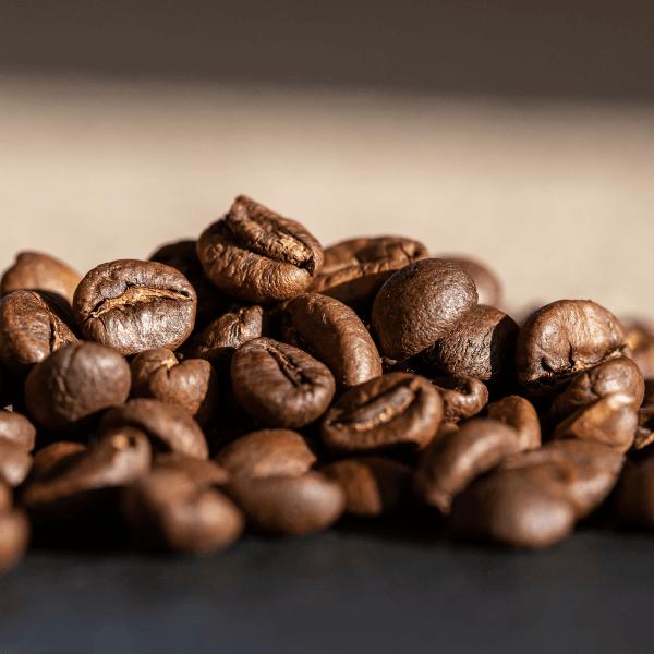 Roasted Organic Coffee collection image