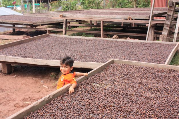 Coffee Grower Jose