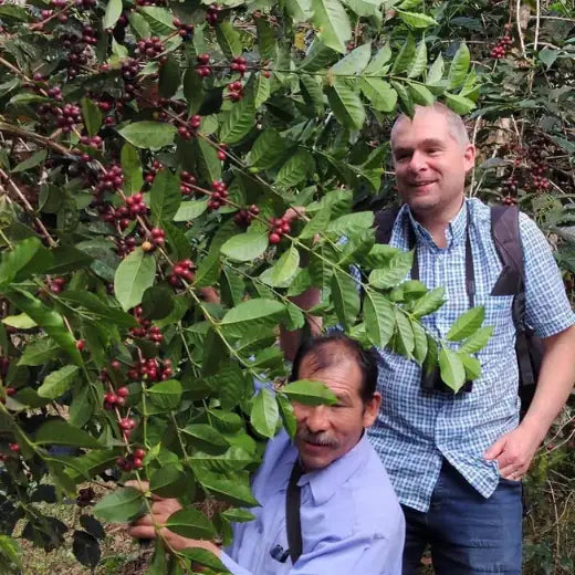 Joop from IncaFé visiting a coffee farm in Peru, inspecting ripe coffee cherries with a local farmer.