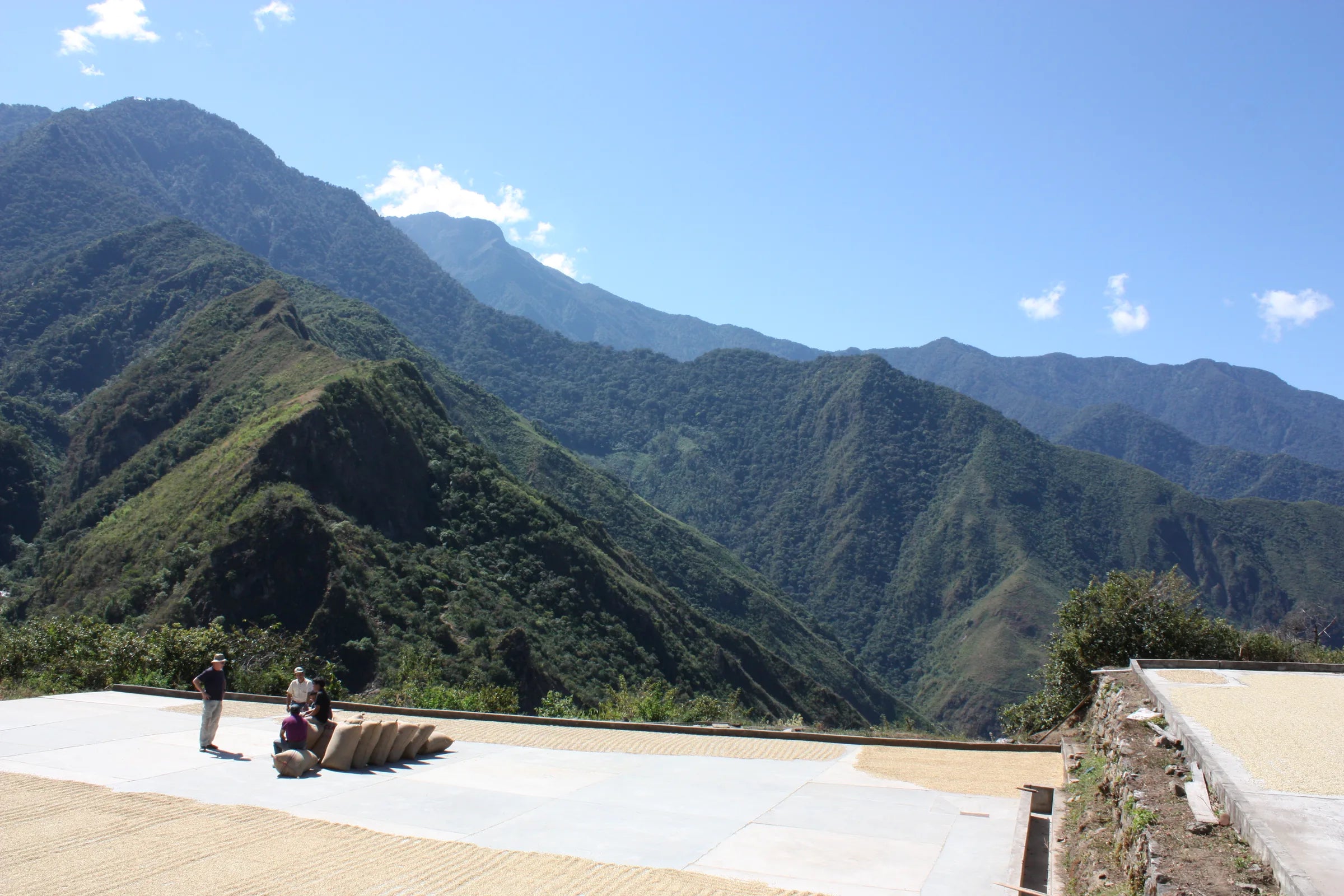 High-altitude coffee drying patio in the mountains