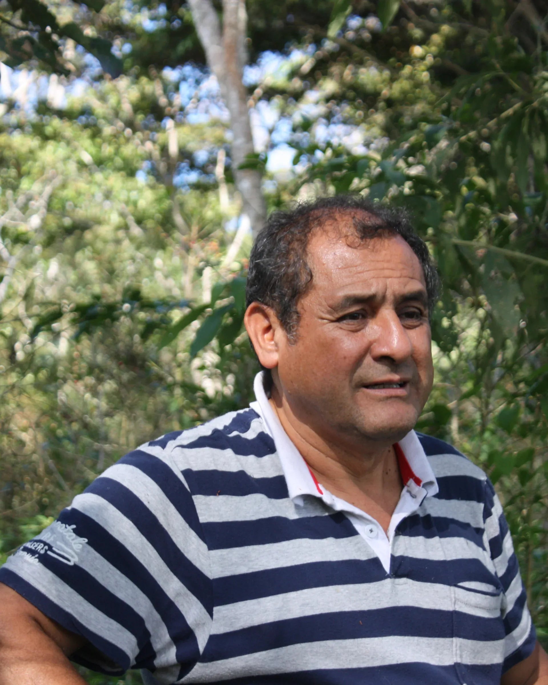 Felix Marin at the COOPCHEBI coffee plantation in central Peru