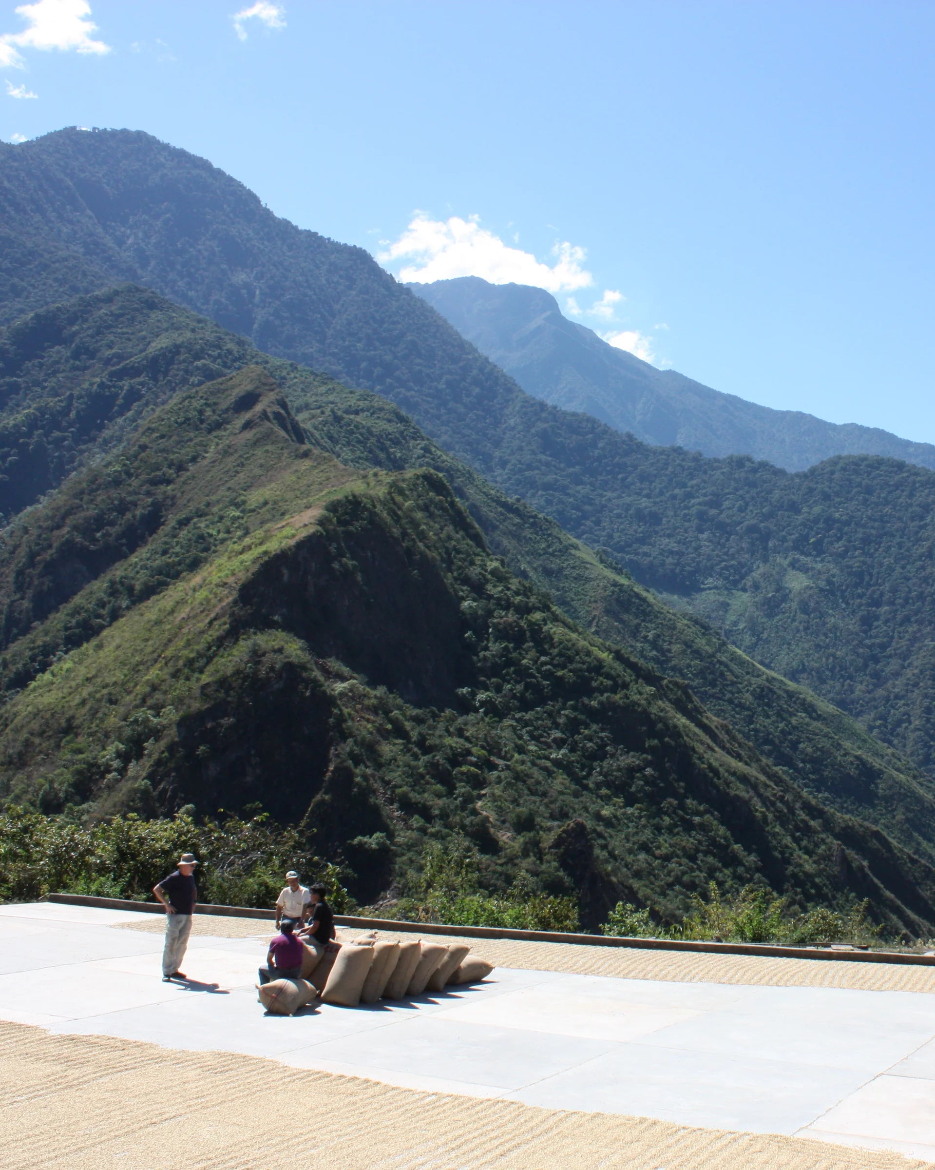High-altitude coffee drying patio in the mountains